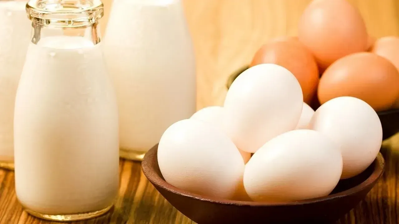 Tavuk eti ve yumurta üretimi arttı, içme sütü üretimi azaldı